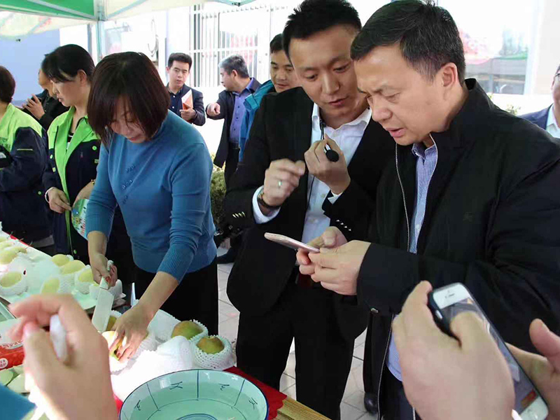 各地高管來到辛集市翠王果品有限公司進行調研考察